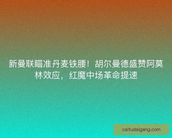 新曼联瞄准丹麦铁腰！胡尔曼德盛赞阿莫林效应，红魔中场革命提速