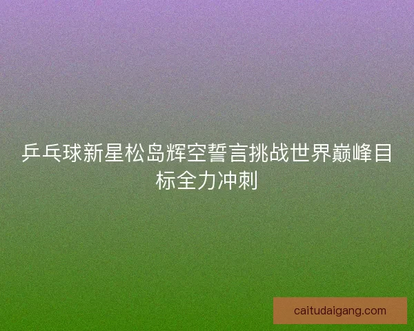 乒乓球新星松岛辉空誓言挑战世界巅峰目标全力冲刺