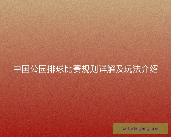 中国公园排球比赛规则详解及玩法介绍