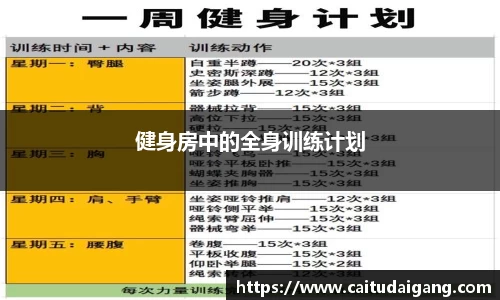 健身房中的全身训练计划